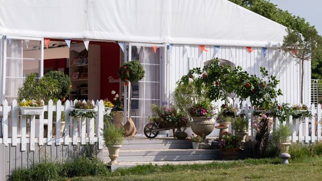 Vignette du programme télé Le meilleur pâtissier