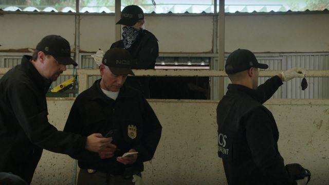 Vignette du programme télé NCIS - Saison 17