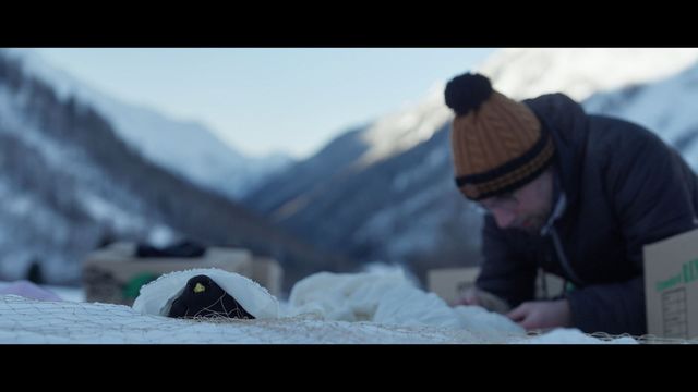 Vignette du programme télé Secrets sauvages du patrimoine - Saison 2