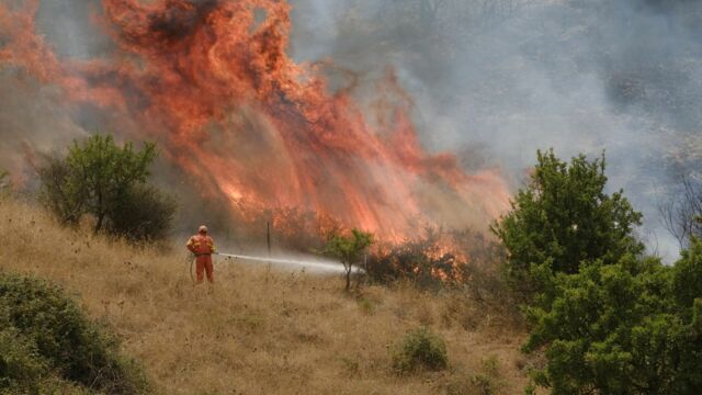 Vignette du programme télé Sicile : à qui profitent les incendies ?