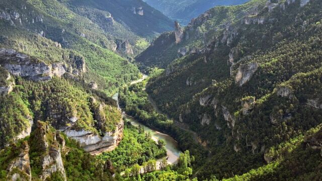 Vignette du programme télé Le Massif central, poumon vert de la France