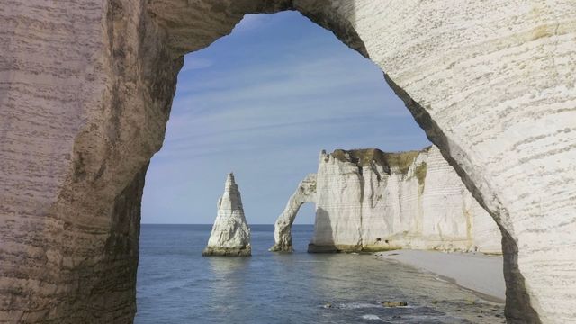 Vignette du programme télé Terre, les forces du vivant