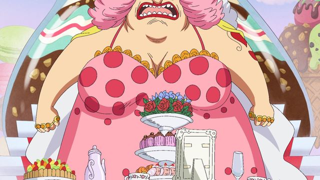 Vignette du programme télé One Piece - Saison 19