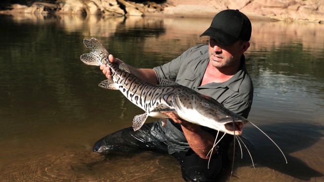 Vignette du programme télé Pêche XXL - Saison 4