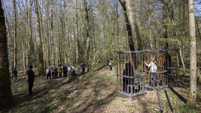 Vignette du programme télé Les traîtres