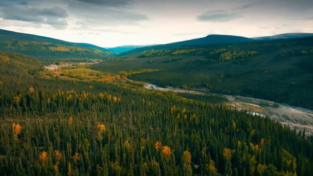 Vignette du programme télé Alaska : La ruée vers l'or - Saison 14