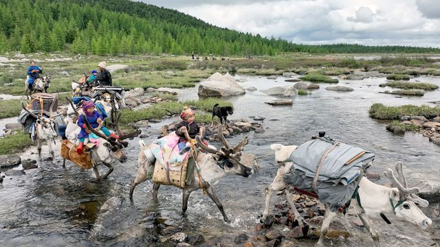 Vignette du programme télé Mongolie, une épopée nomade
