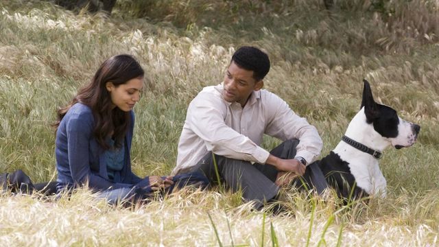 Vignette du programme télé Sept vies
