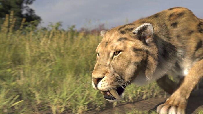 Vignette du programme télé Le mystérieux tigre à dents de sabre
