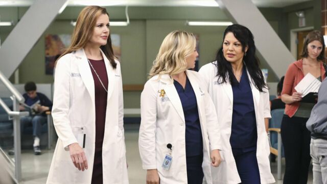 Vignette du programme télé Grey&#039;s Anatomy