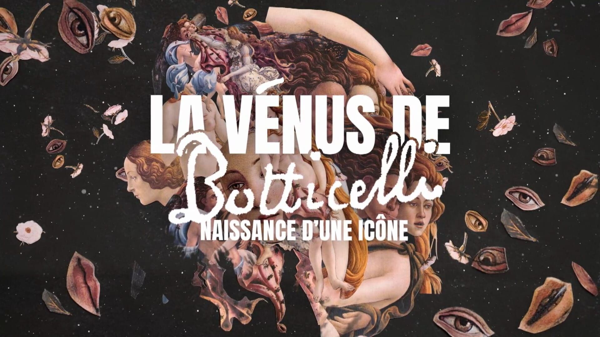 Vignette du programme télé La Vénus de Botticelli, naissance d'une icône