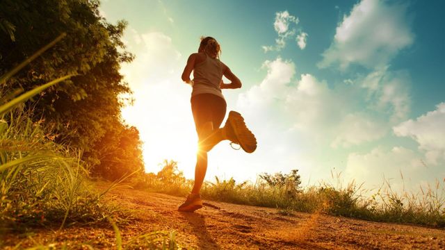 Vignette du programme télé Sud Raid Adventure Race