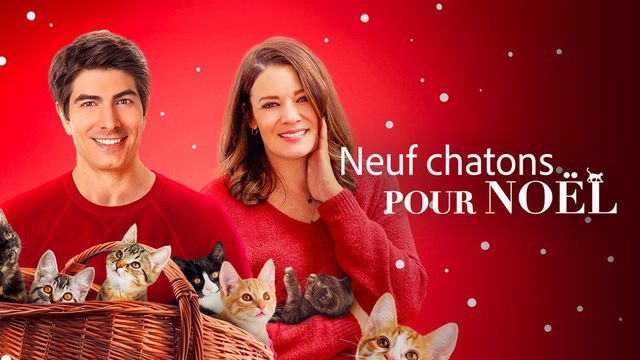 Vignette du programme télé Neuf chatons pour Noël