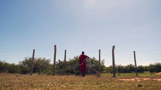Vignette du programme télé Kenya, la résistance des Massaï : Un jeune chef pour un grand défi