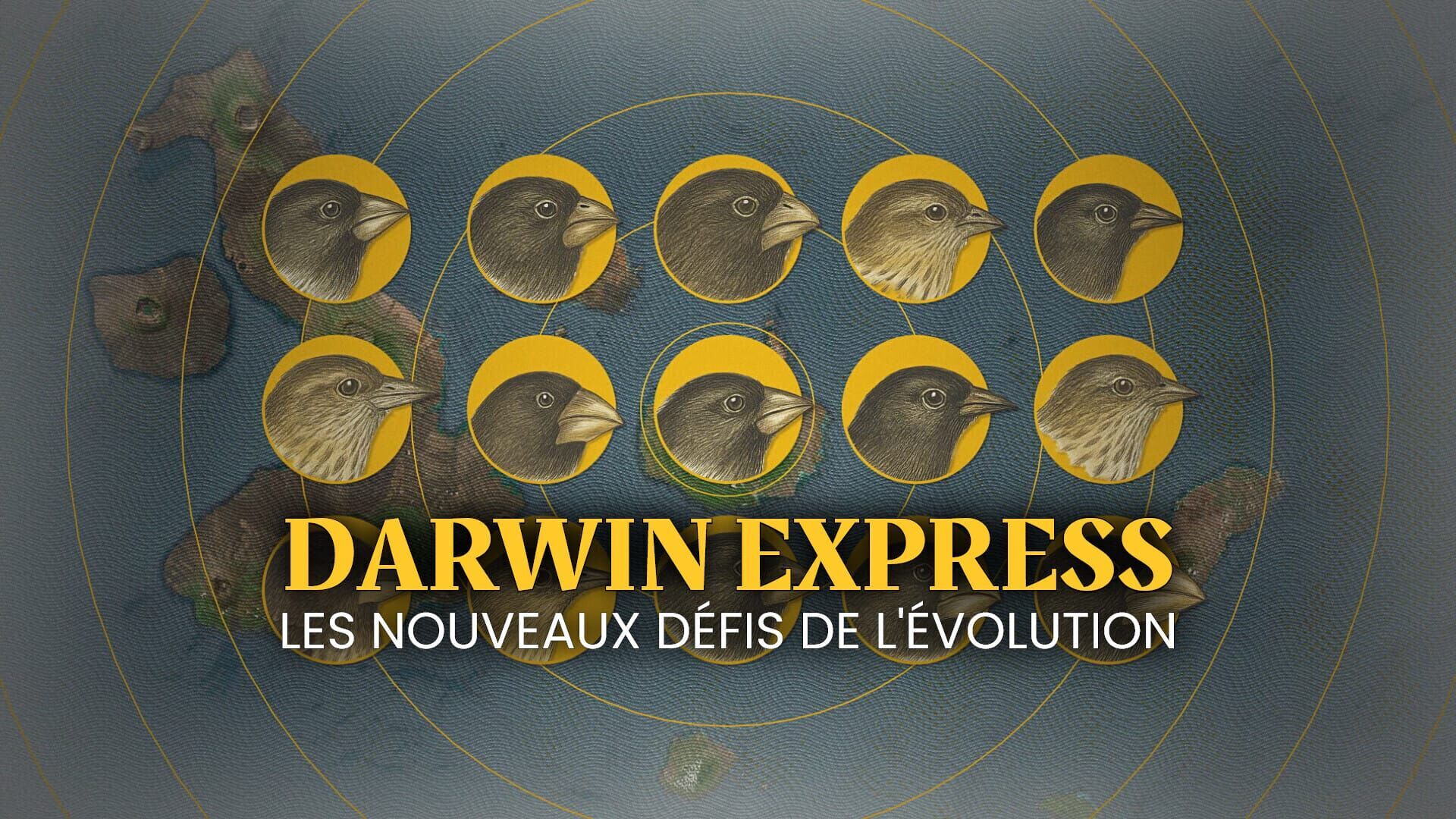 Vignette du programme télé Darwin express : Les nouveaux défis de l'évolution