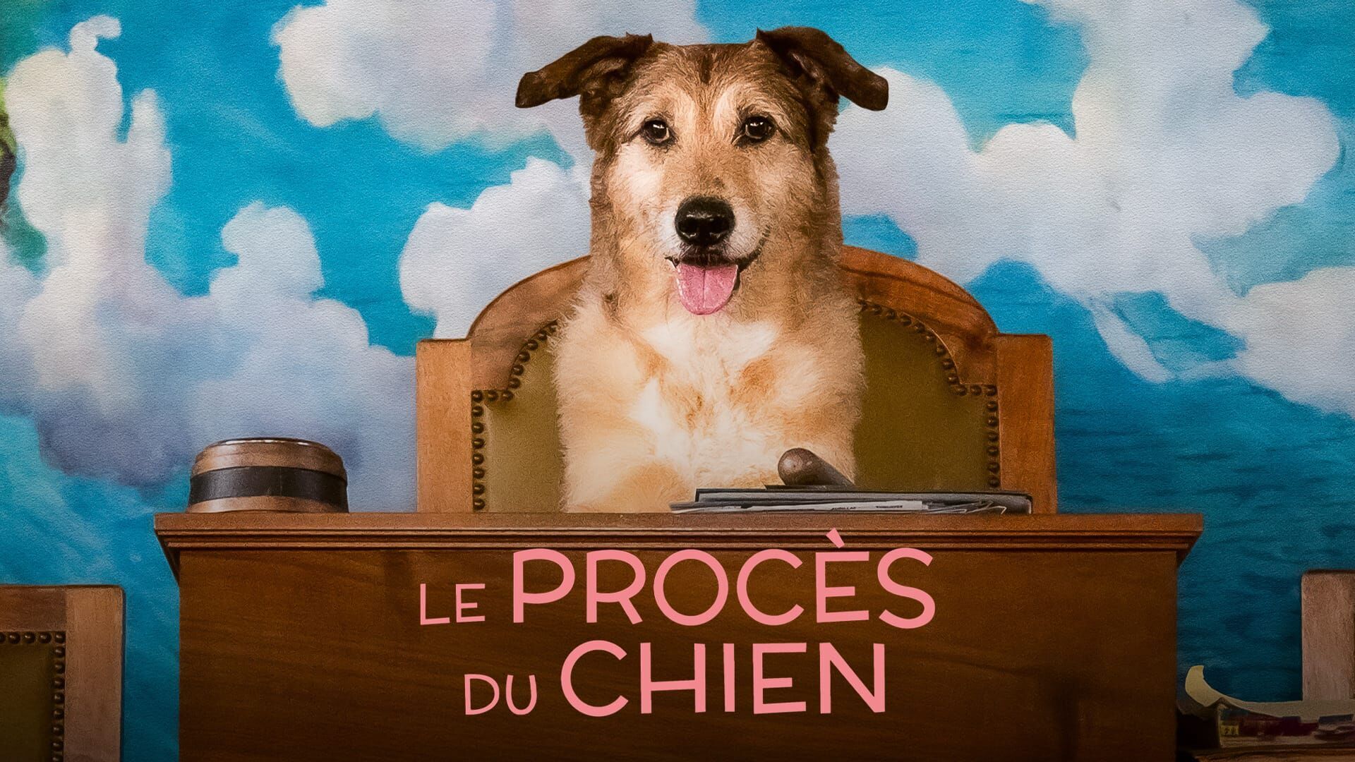 Vignette du programme télé Le Procès du chien