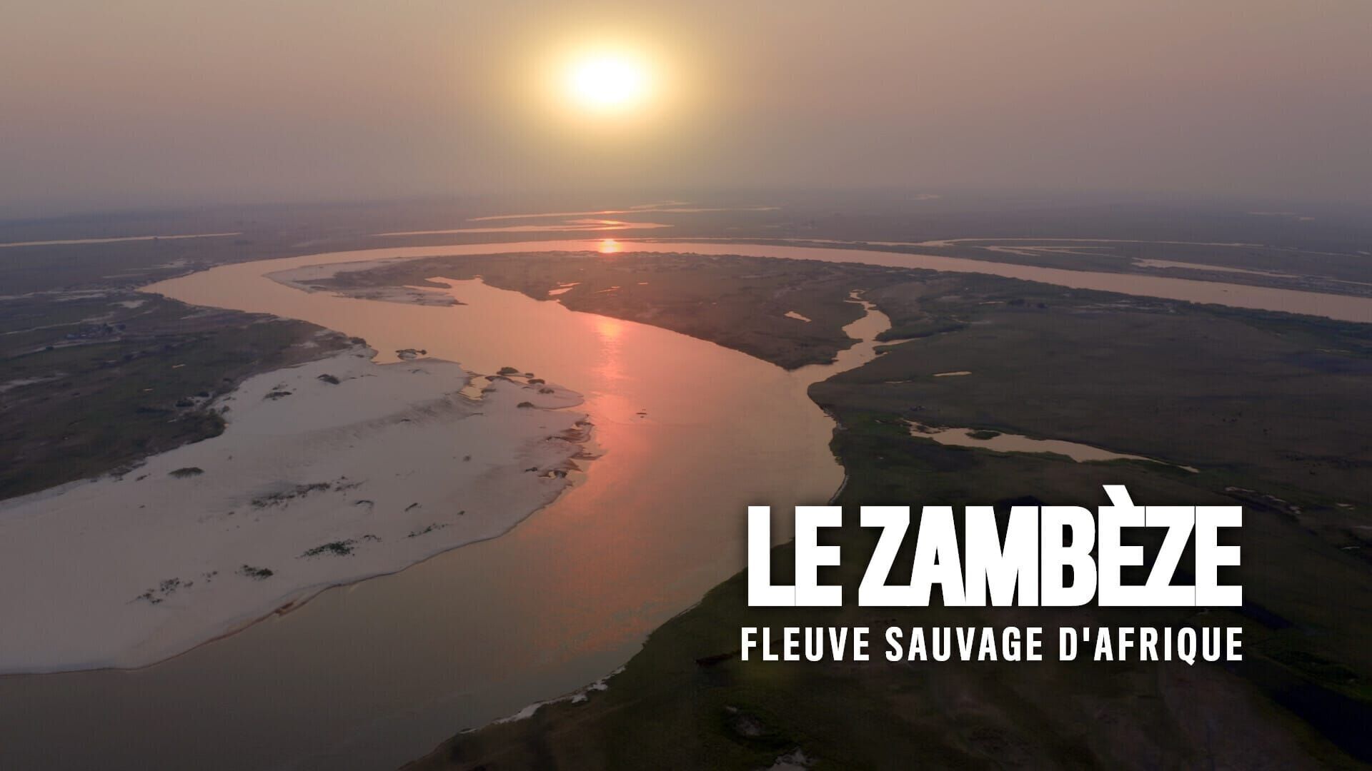 Vignette du programme télé Le Zambèze, fleuve sauvage d'Afrique