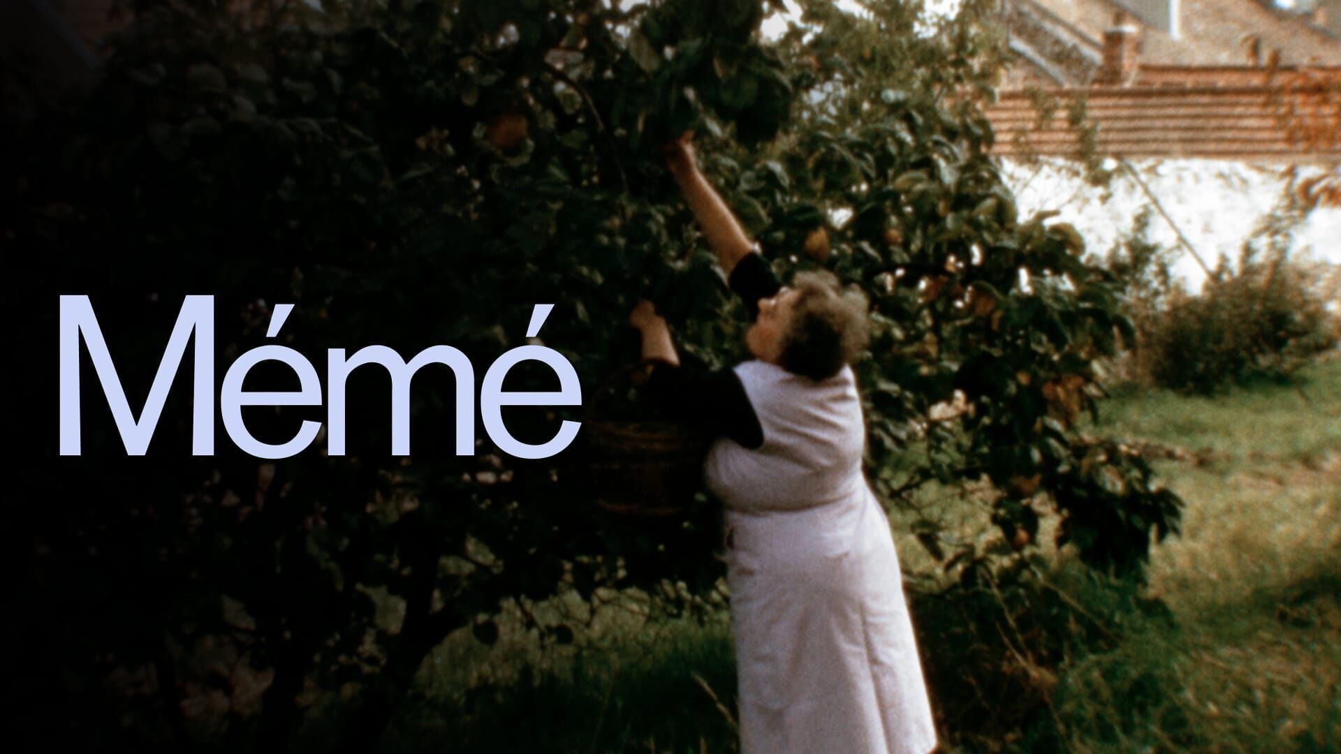 Vignette du programme télé Mémé