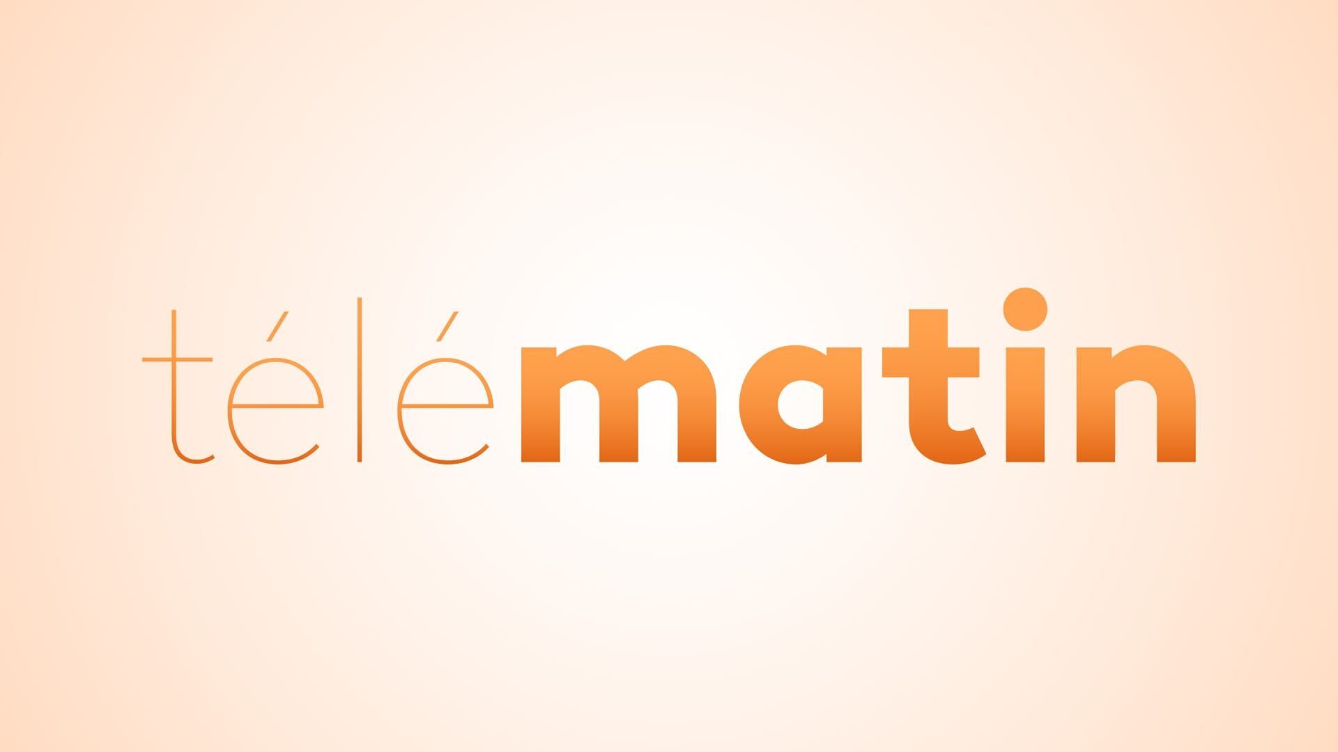 Vignette du programme télé Télématin