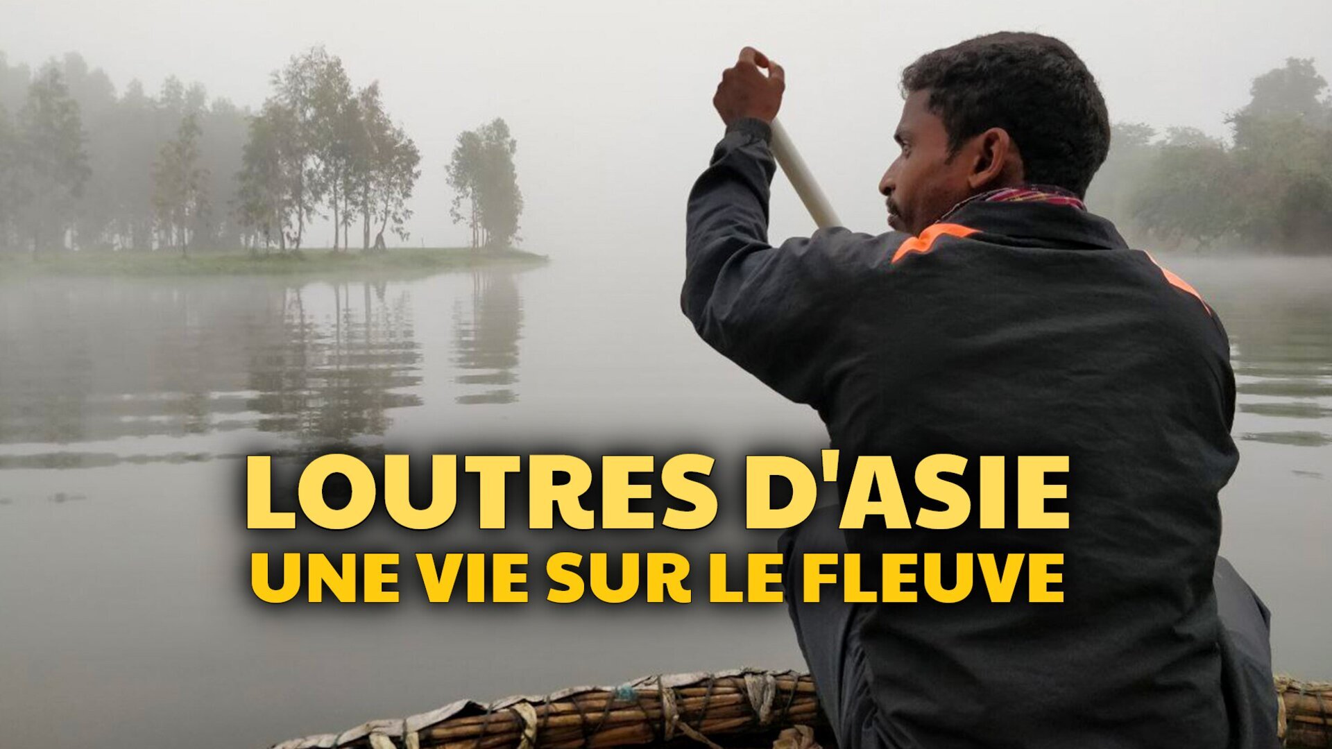 Vignette du programme télé Loutres d'Asie : Une vie sur le fleuve