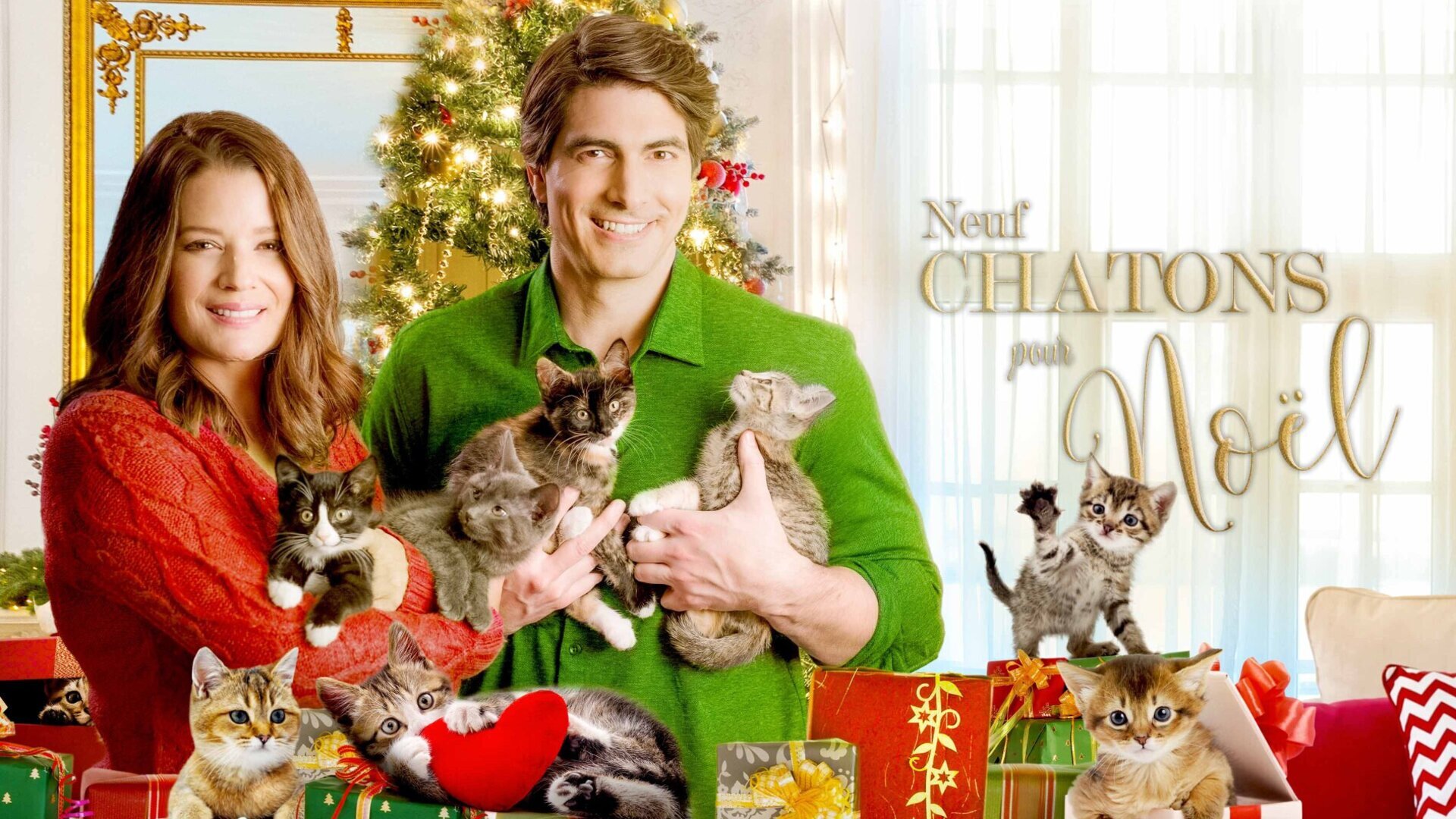 Vignette du programme télé Neuf chatons pour Noël