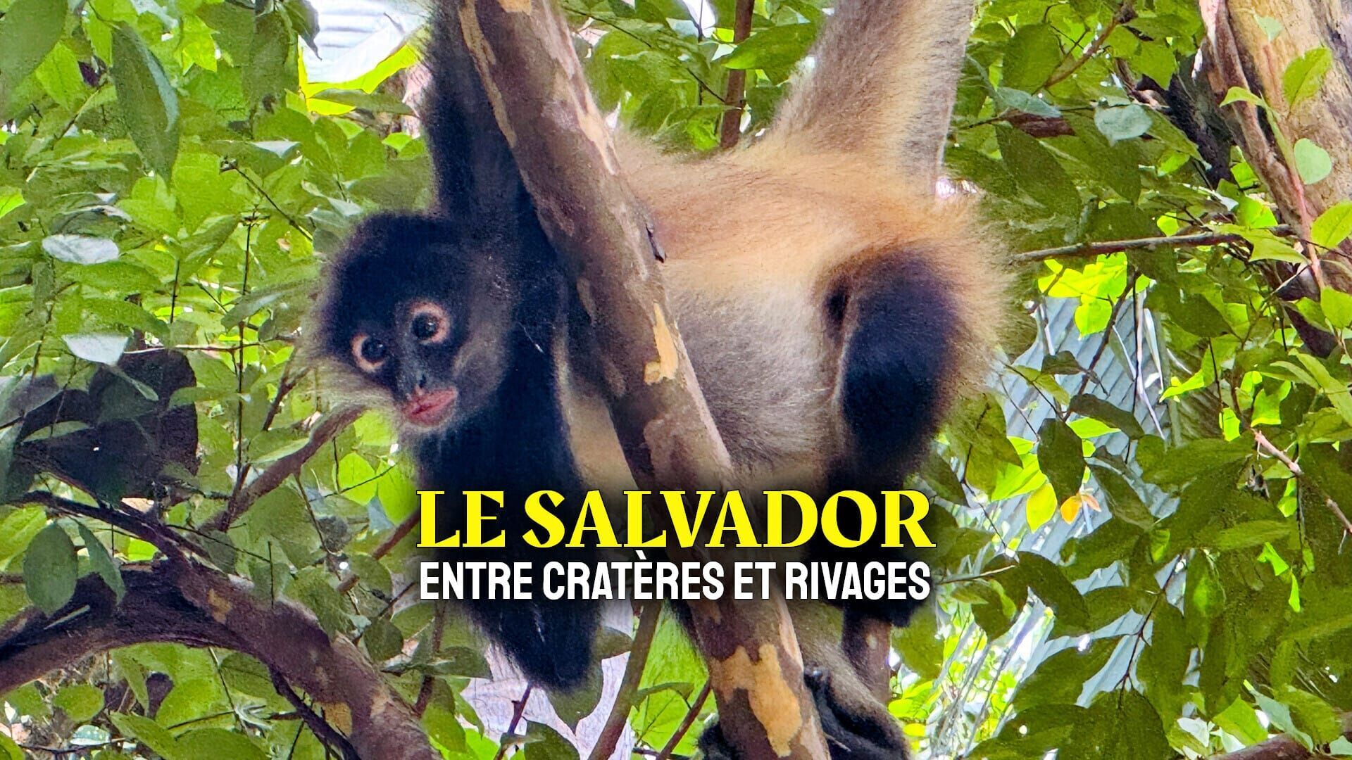 Vignette du programme télé Le Salvador : Entre cratères et rivages