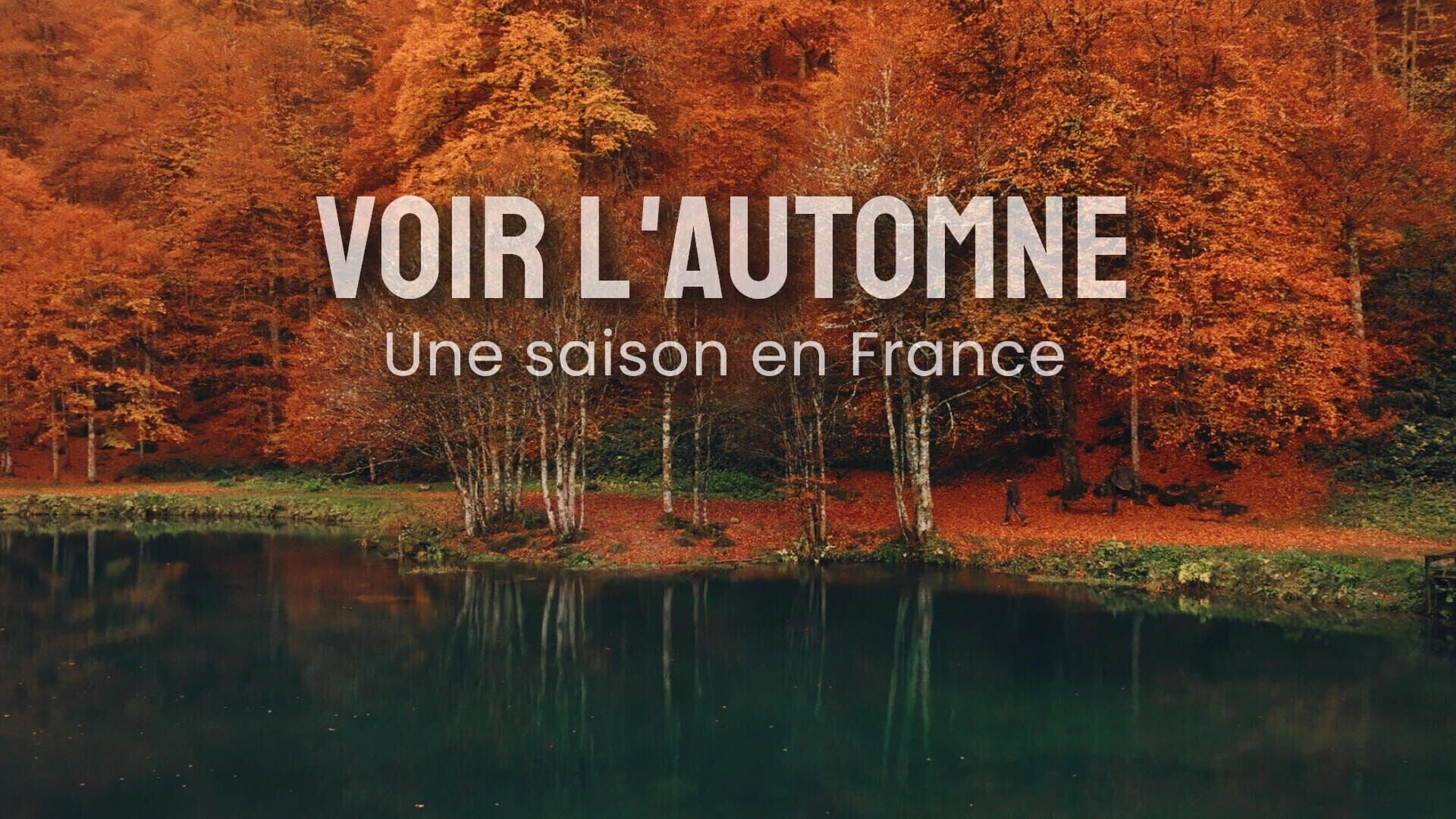 Vignette du programme télé Voir l'automne, une saison en France