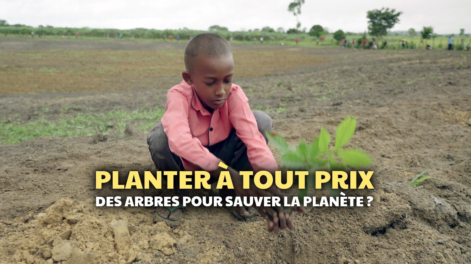 Vignette du programme télé Planter à tout prix : Des arbres pour sauver la planète ?