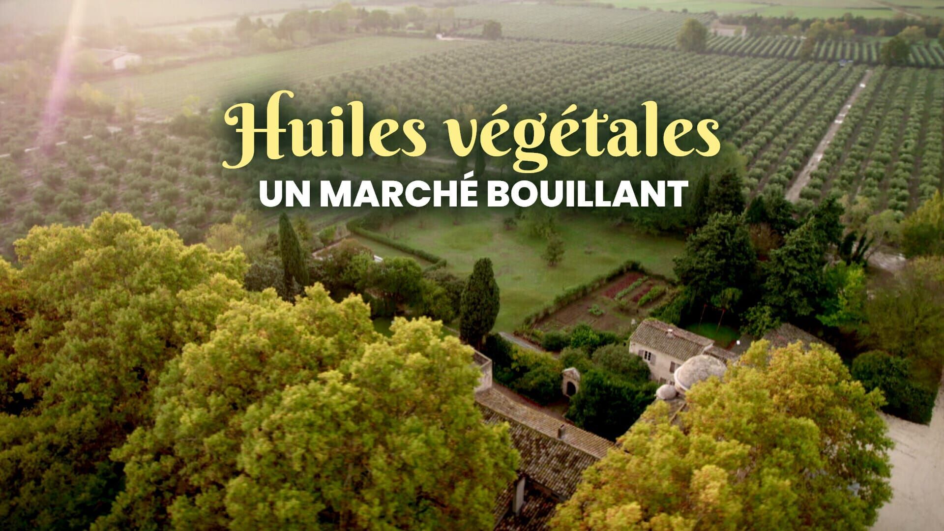 Vignette du programme télé Huiles végétales : un marché bouillant