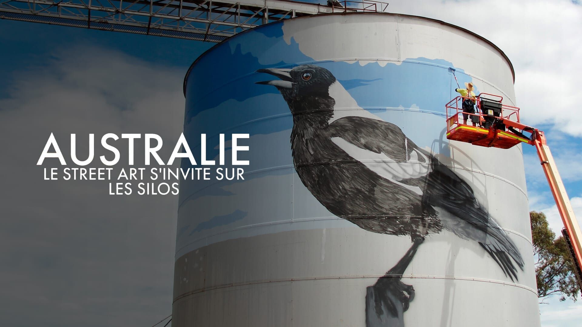 Vignette du programme télé Australie, le street art s'invite sur les silos