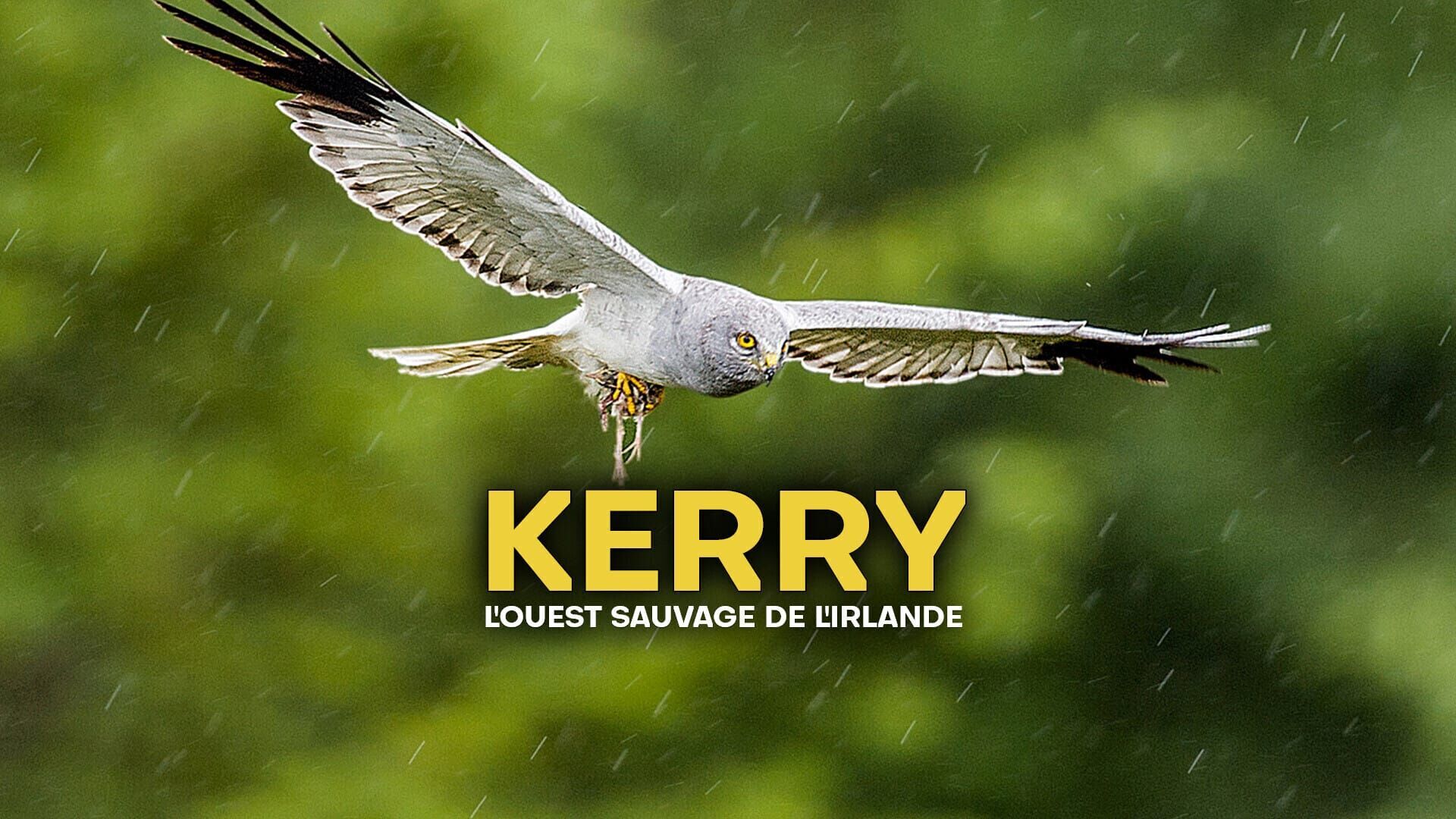 Vignette du programme télé Kerry, l'Ouest sauvage de l'Irlande