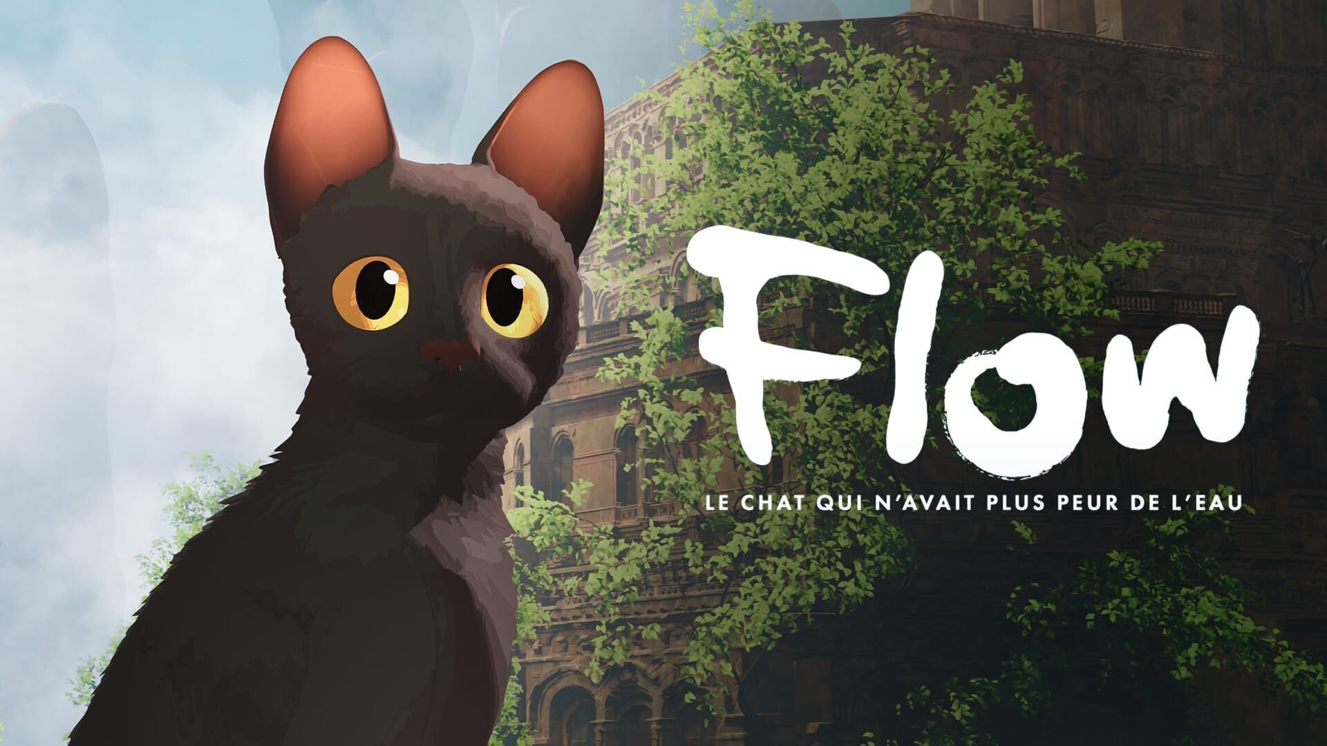 Vignette du programme télé Flow, le chat qui n'avait plus peur de l'eau