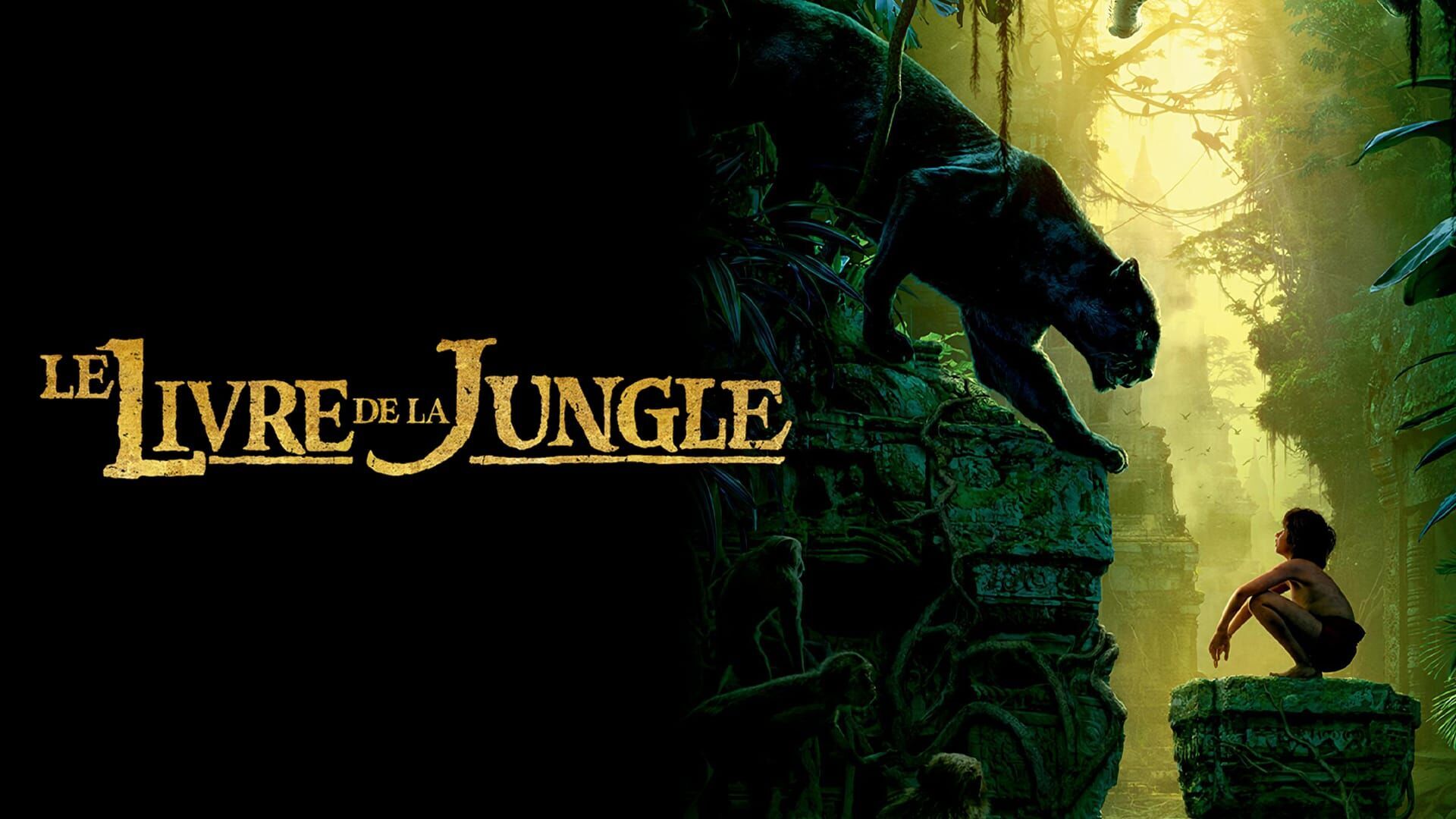 Vignette du programme télé Le livre de la jungle