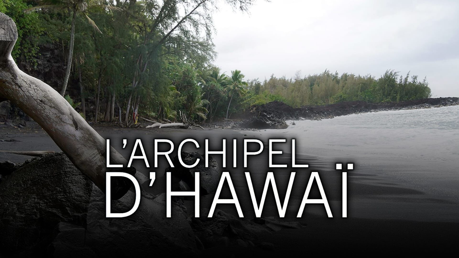 Vignette du programme télé L'archipel d'Hawaï