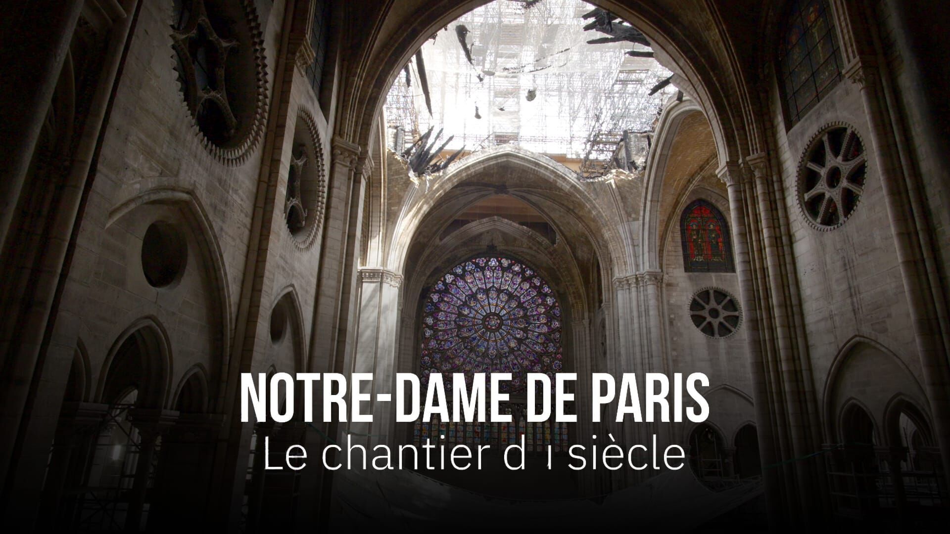 Vignette du programme télé Notre-Dame de Paris, le chantier du siècle