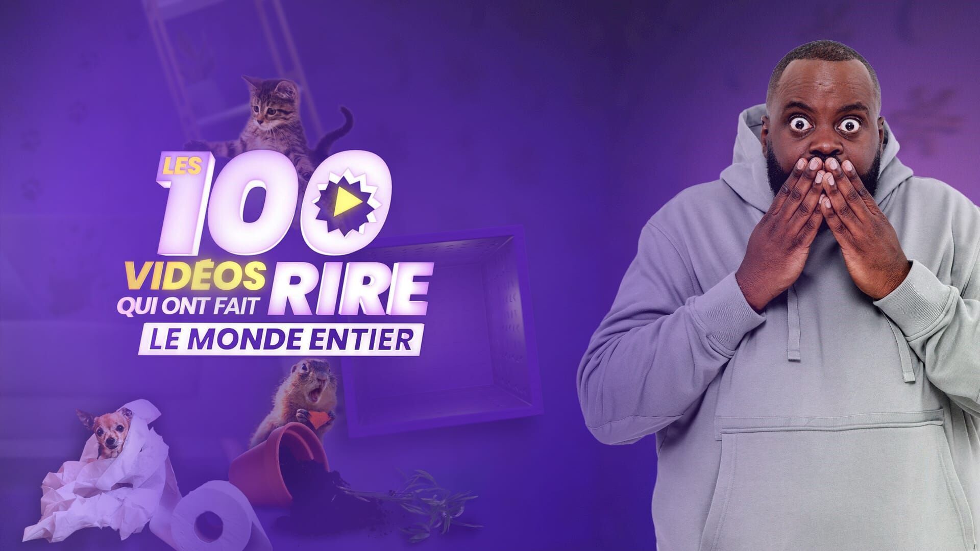 Vignette du programme télé Les 100 vidéos qui ont fait rire le monde entier