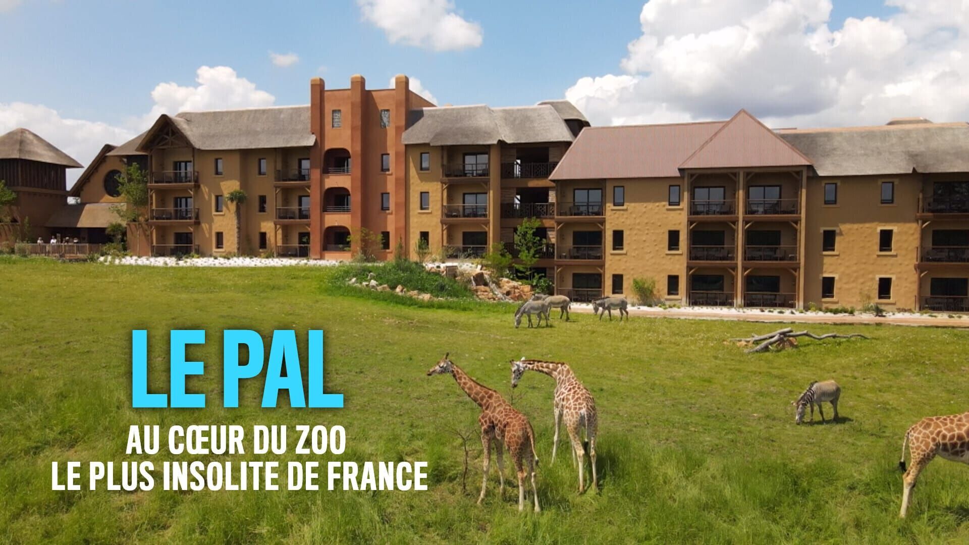 Vignette du programme télé Le PAL : au coeur du zoo le plus insolite de France