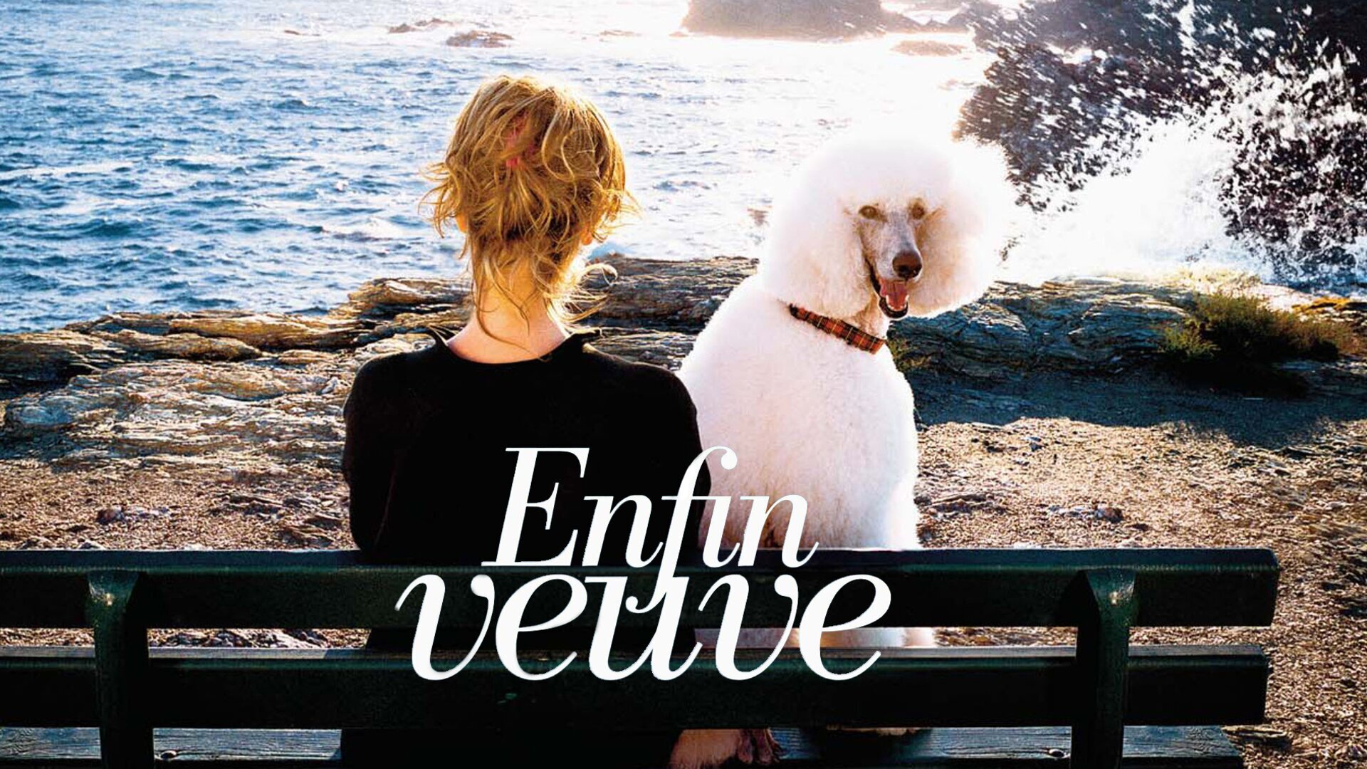 Vignette du programme télé Enfin veuve