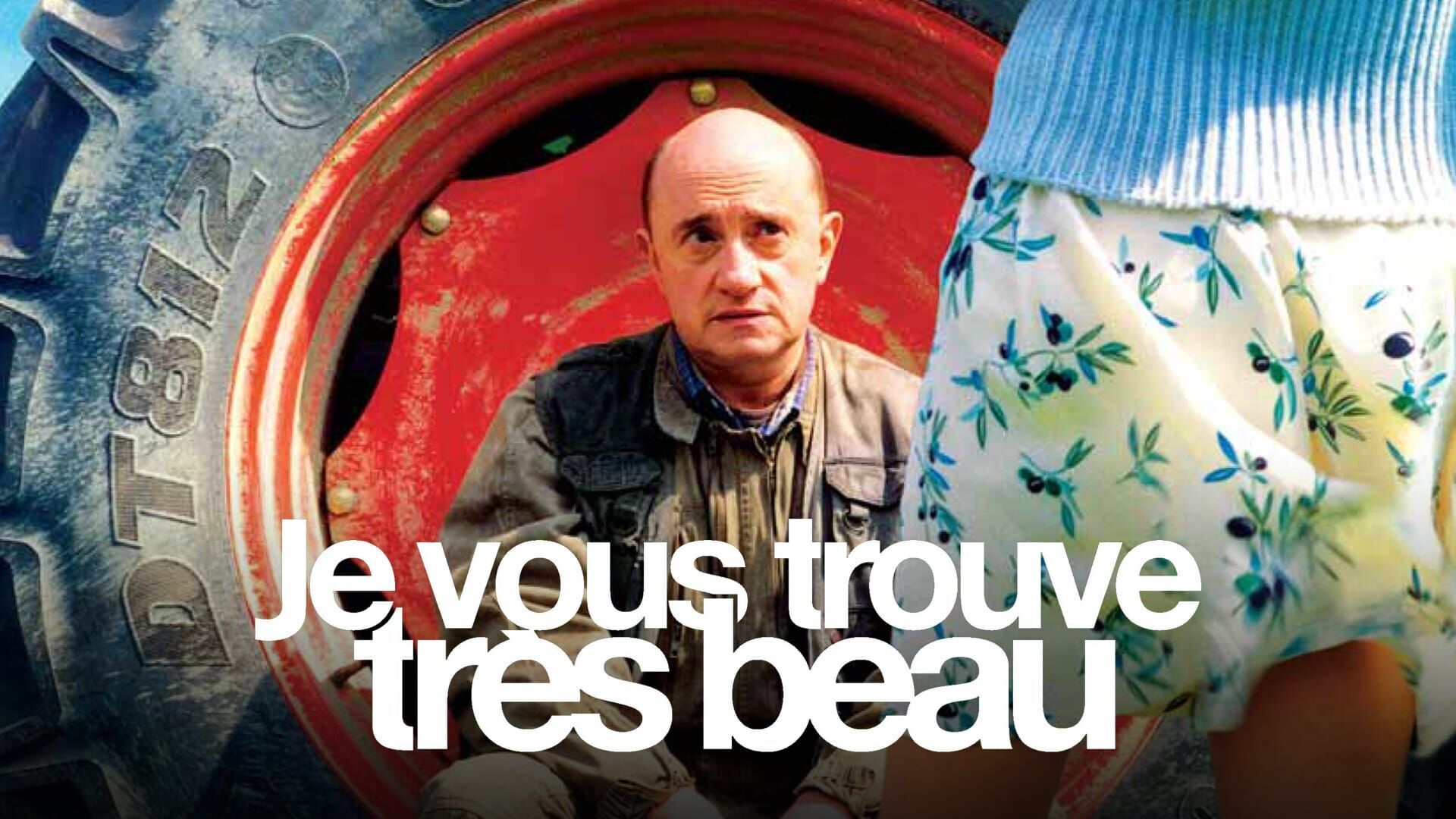 Vignette du programme télé Je vous trouve très beau
