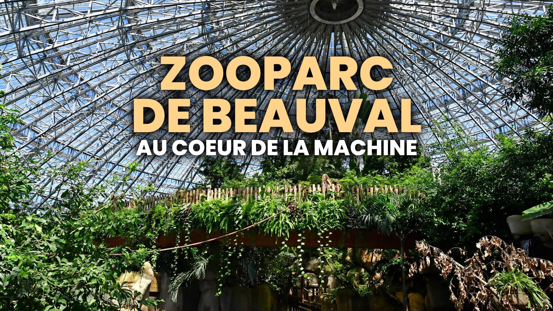 Vignette du programme télé ZooParc de Beauval : au coeur de la machine