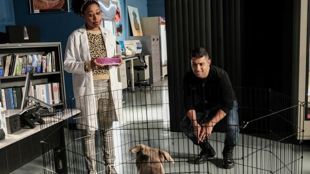 Vignette du programme télé NCIS - Saison 18