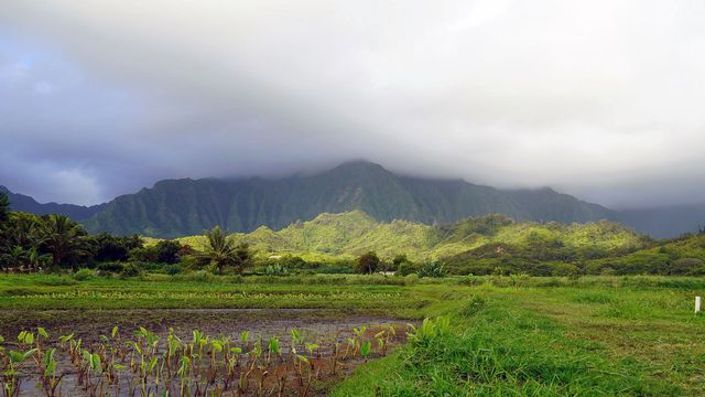 Vignette du programme télé L'archipel d'Hawaï - Saison 1