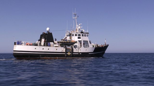 Vignette du programme télé Les sentinelles de la mer