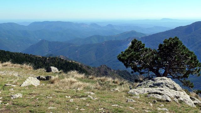 Vignette du programme télé Le Massif central, poumon vert de la France
