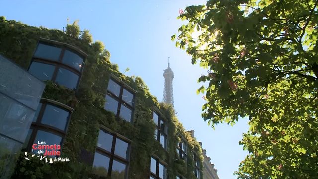 Vignette du programme télé Les carnets de Julie