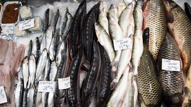 Vignette du programme télé Food Markets - Saison 6