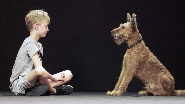 Vignette du programme télé Des chiens et des hommes : Les secrets d'une amitié