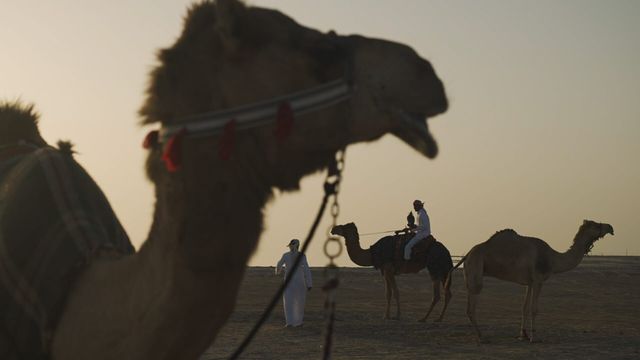 Vignette du programme télé Qatar : une dynastie à la conquête du monde