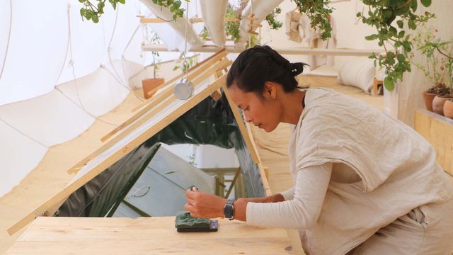 Vignette du programme télé L'expérience biosphère : 120 jours dans le désert