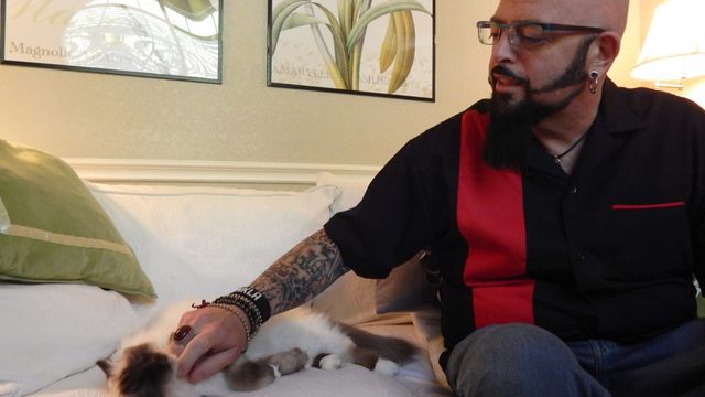 Vignette du programme télé Hell's Cats - Saison 5